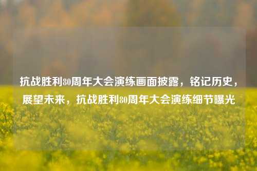 抗战胜利80周年大会演练画面披露，铭记历史，展望未来，抗战胜利80周年大会演练细节曝光