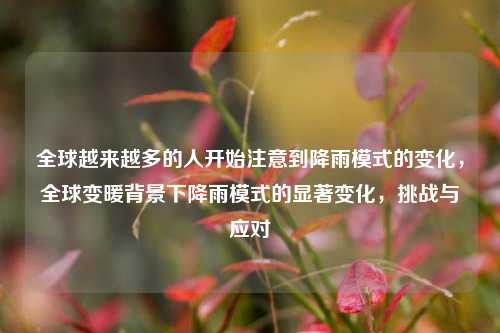 全球越来越多的人开始注意到降雨模式的变化，全球变暖背景下降雨模式的显著变化，挑战与应对