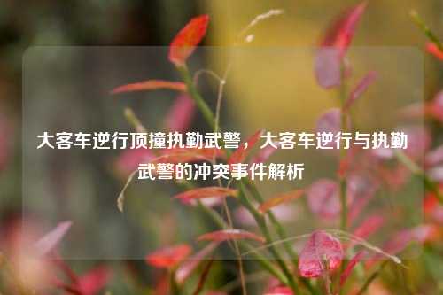 大客车逆行顶撞执勤武警，大客车逆行与执勤武警的冲突事件解析