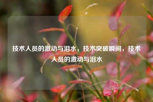 技术人员的激动与泪水，技术突破瞬间，技术人员的激动与泪水