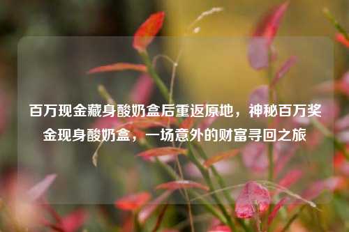 百万现金藏身酸奶盒后重返原地，神秘百万奖金现身酸奶盒，一场意外的财富寻回之旅