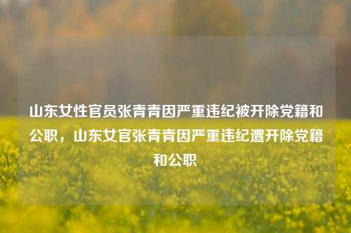 山东女性官员张青青因严重违纪被开除党籍和公职，山东女官张青青因严重违纪遭开除党籍和公职
