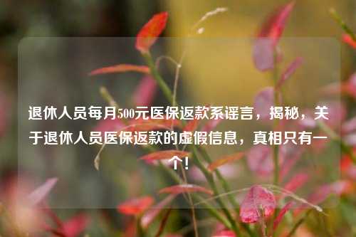 退休人员每月500元医保返款系谣言，揭秘，关于退休人员医保返款的虚假信息，真相只有一个！