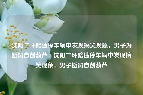 沈阳二环路违停车辆中发现搞笑现象，男子为避罚自创葫芦，沈阳二环路违停车辆中发现搞笑现象，男子避罚自创葫芦