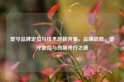 坚守品牌定位与技术创新并重，品牌战略，坚守定位与创新并行之道