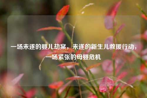一场未遂的婴儿劫案，未遂的新生儿救援行动，一场紧张的母婴危机