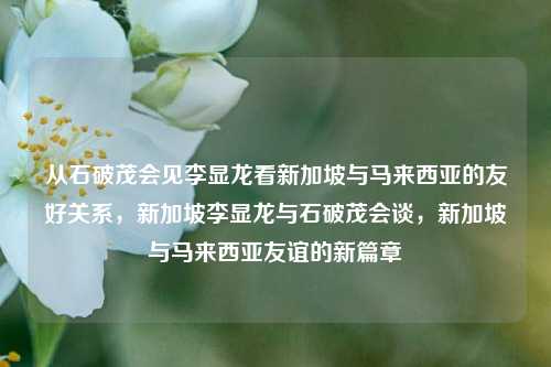 从石破茂会见李显龙看新加坡与马来西亚的友好关系，新加坡李显龙与石破茂会谈，新加坡与马来西亚友谊的新篇章