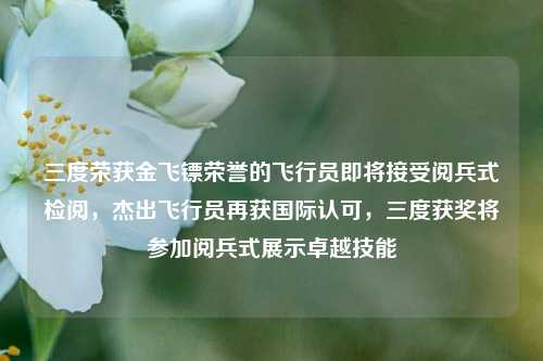 三度荣获金飞镖荣誉的飞行员即将接受阅兵式检阅，杰出飞行员再获国际认可，三度获奖将参加阅兵式展示卓越技能