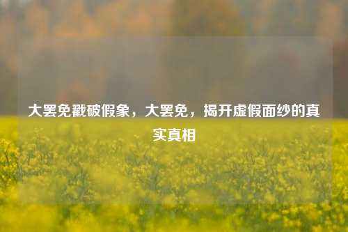 大罢免戳破假象，大罢免，揭开虚假面纱的真实真相