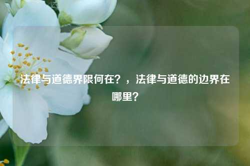 法律与道德界限何在？，法律与道德的边界在哪里？