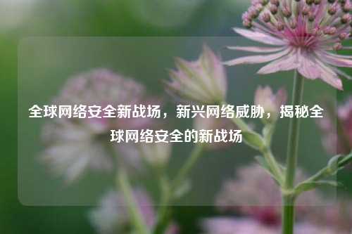 全球网络安全新战场，新兴网络威胁，揭秘全球网络安全的新战场