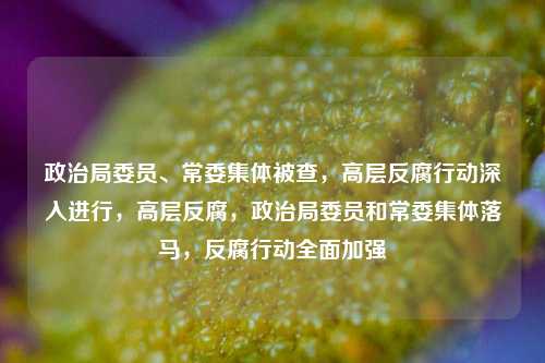 政治局委员、常委集体被查，高层反腐行动深入进行，高层反腐，政治局委员和常委集体落马，反腐行动全面加强