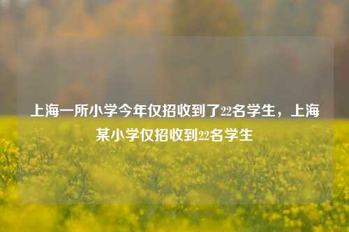 上海一所小学今年仅招收到了22名学生，上海某小学仅招收到22名学生