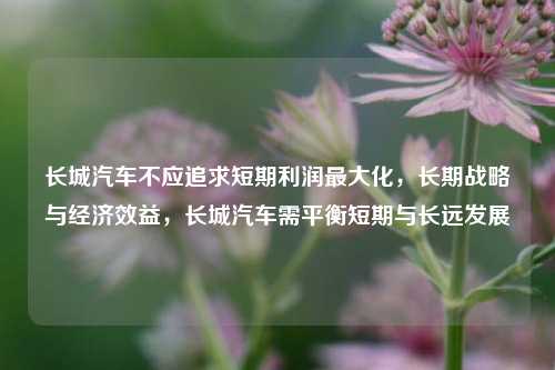 长城汽车不应追求短期利润最大化，长期战略与经济效益，长城汽车需平衡短期与长远发展