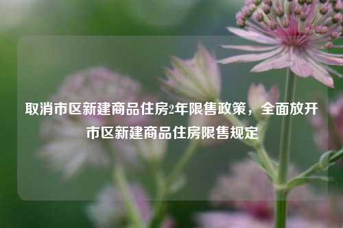 取消市区新建商品住房2年限售政策，全面放开市区新建商品住房限售规定