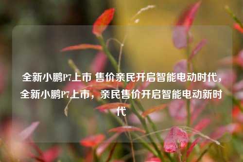 全新小鹏P7上市 售价亲民开启智能电动时代，全新小鹏P7上市，亲民售价开启智能电动新时代