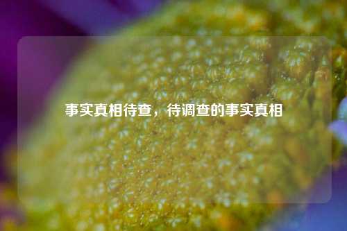 事实真相待查，待调查的事实真相