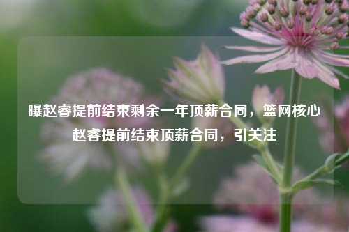 曝赵睿提前结束剩余一年顶薪合同，篮网核心赵睿提前结束顶薪合同，引关注