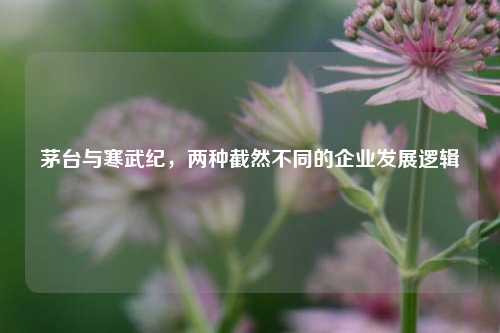 茅台与寒武纪，两种截然不同的企业发展逻辑