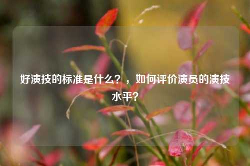 好演技的标准是什么？，如何评价演员的演技水平？