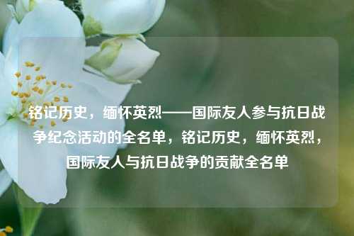 铭记历史，缅怀英烈——国际友人参与抗日战争纪念活动的全名单，铭记历史，缅怀英烈，国际友人与抗日战争的贡献全名单