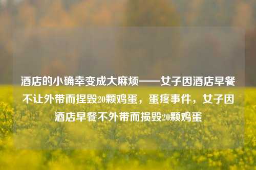酒店的小确幸变成大麻烦——女子因酒店早餐不让外带而捏毁20颗鸡蛋，蛋疼事件，女子因酒店早餐不外带而损毁20颗鸡蛋