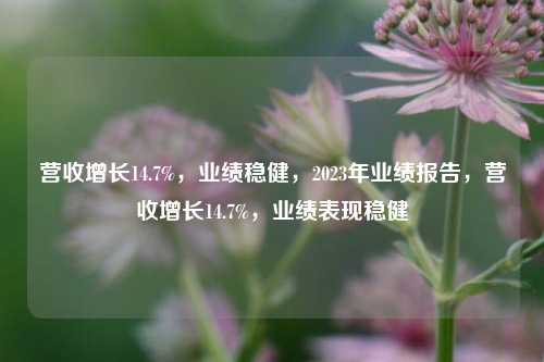 营收增长14.7%，业绩稳健，2023年业绩报告，营收增长14.7%，业绩表现稳健
