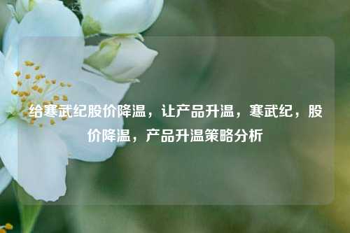 给寒武纪股价降温，让产品升温，寒武纪，股价降温，产品升温策略分析
