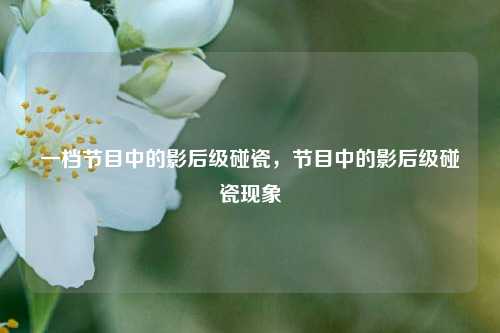一档节目中的影后级碰瓷，节目中的影后级碰瓷现象