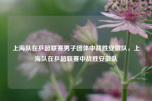上海队在乒超联赛男子团体中战胜安徽队，上海队在乒超联赛中战胜安徽队
