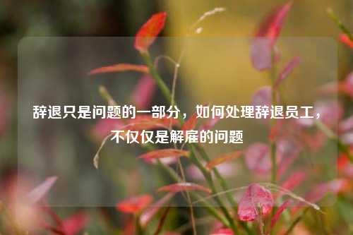 辞退只是问题的一部分，如何处理辞退员工，不仅仅是解雇的问题